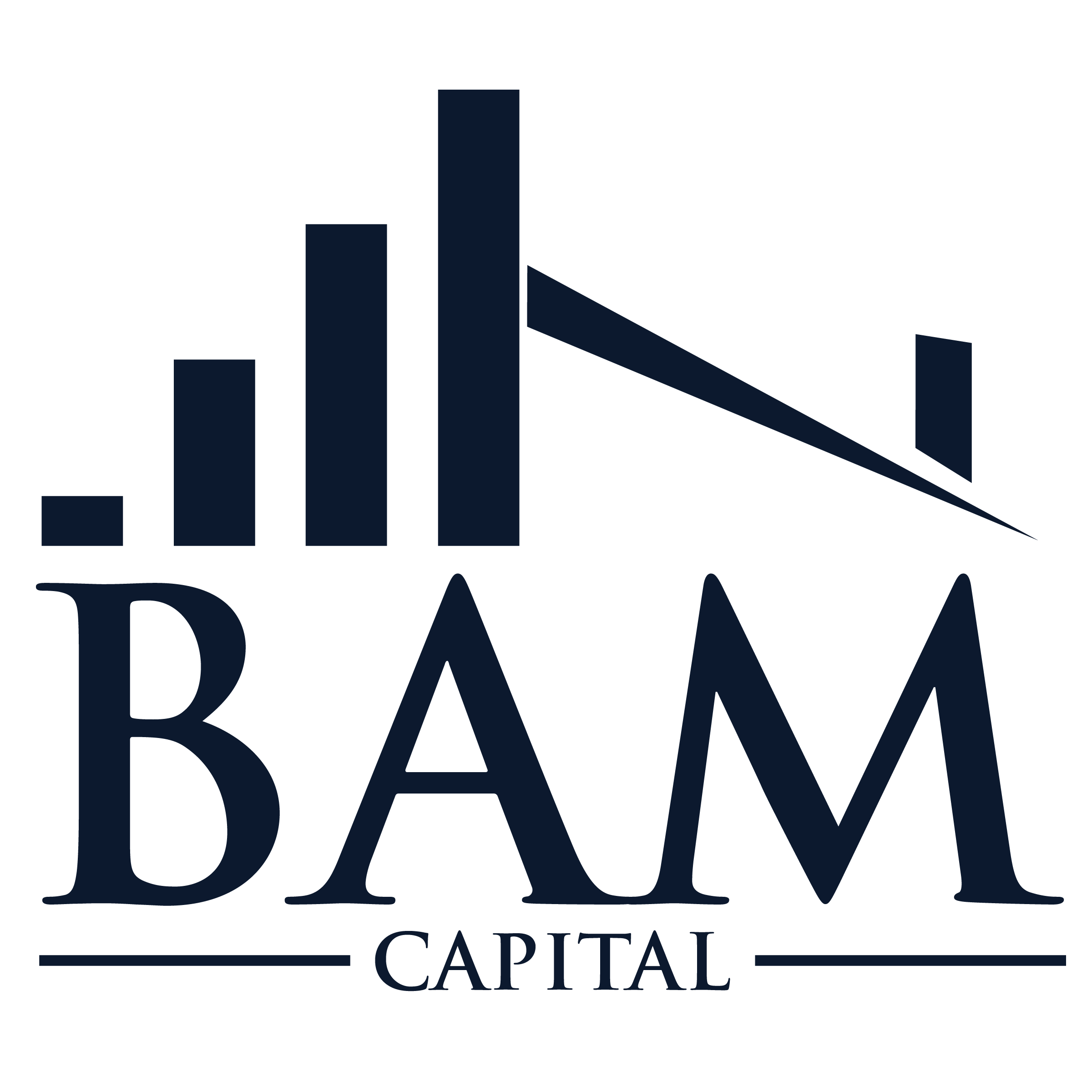 BAM Capital Blue Logo (Main Logo)